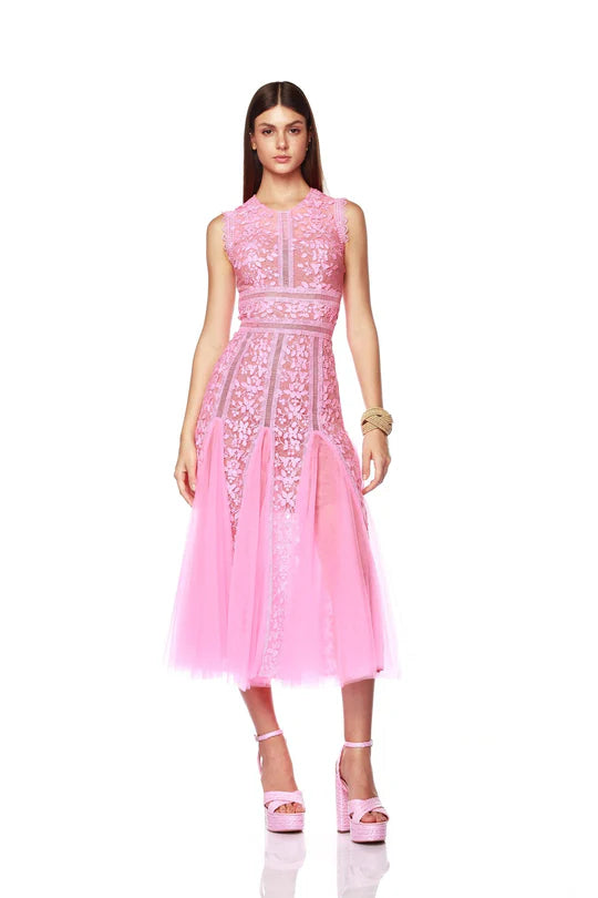 women's lace dressesMegan Midi Dress - Baby Pink